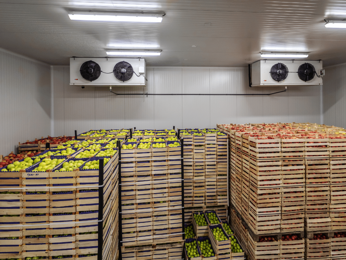 Cold-Chain-Storage