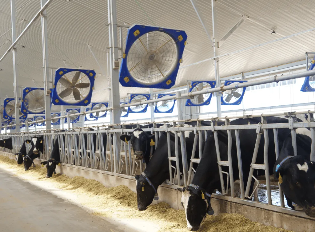 animal-exhaust-fan